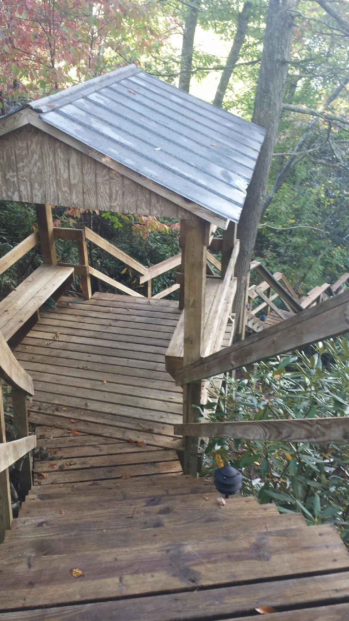 Metal roofed shelter over wooden steps on a wooded walkway — Skylight Repair & Installation work by our crew in Queen Creek